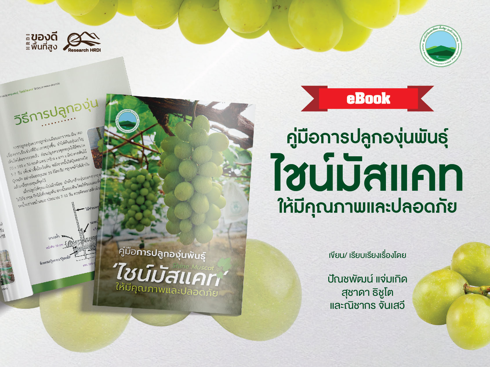 คู่มือการปลูกองุ่นพันธุ์ ‘ไชน์มัสแคท’ ให้มีคุณภาพและปลอดภัย