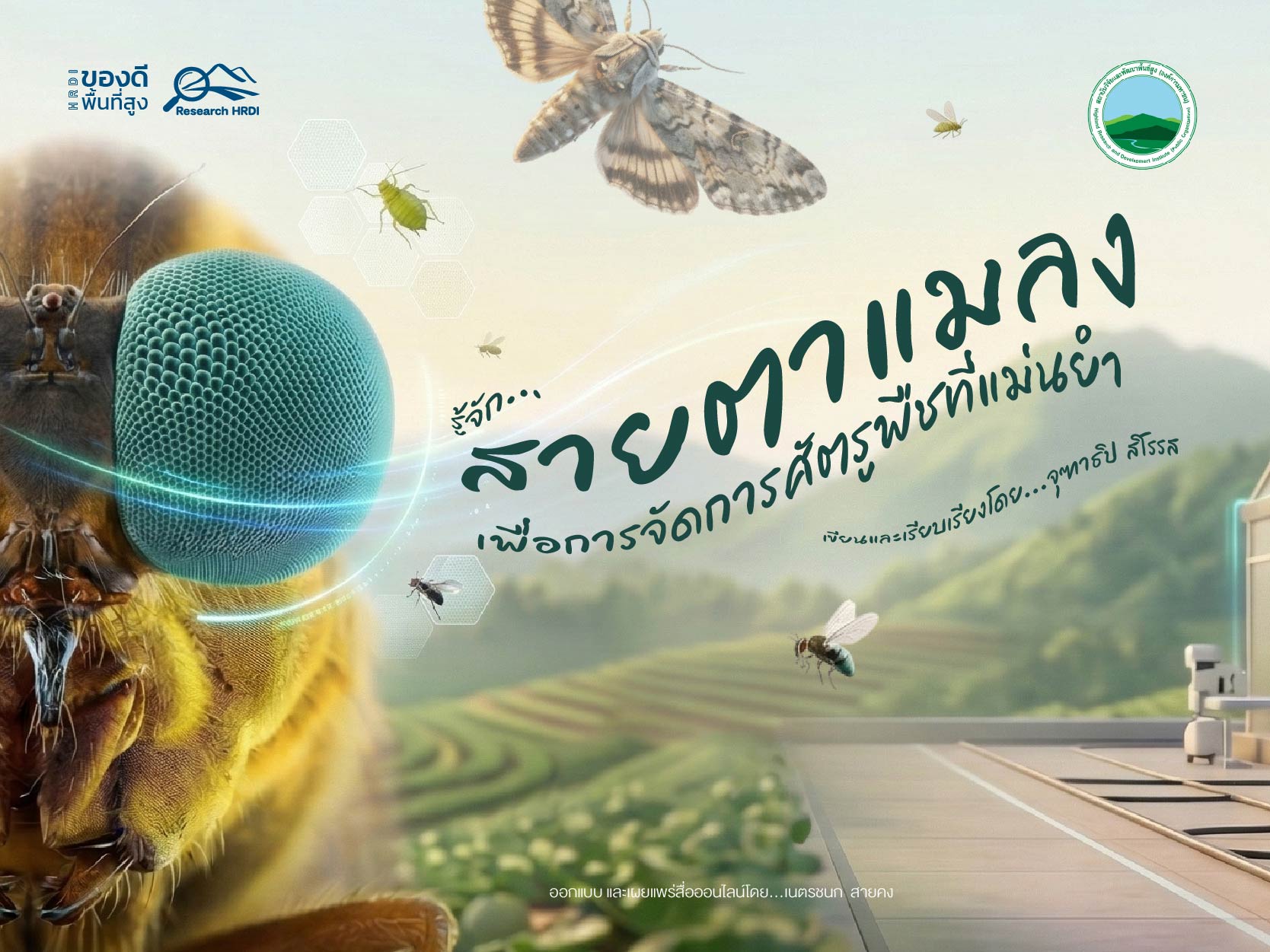 รู้จักสายตาแมลงเพื่อการจัดการศัตรูพืชที่แม่นยำ