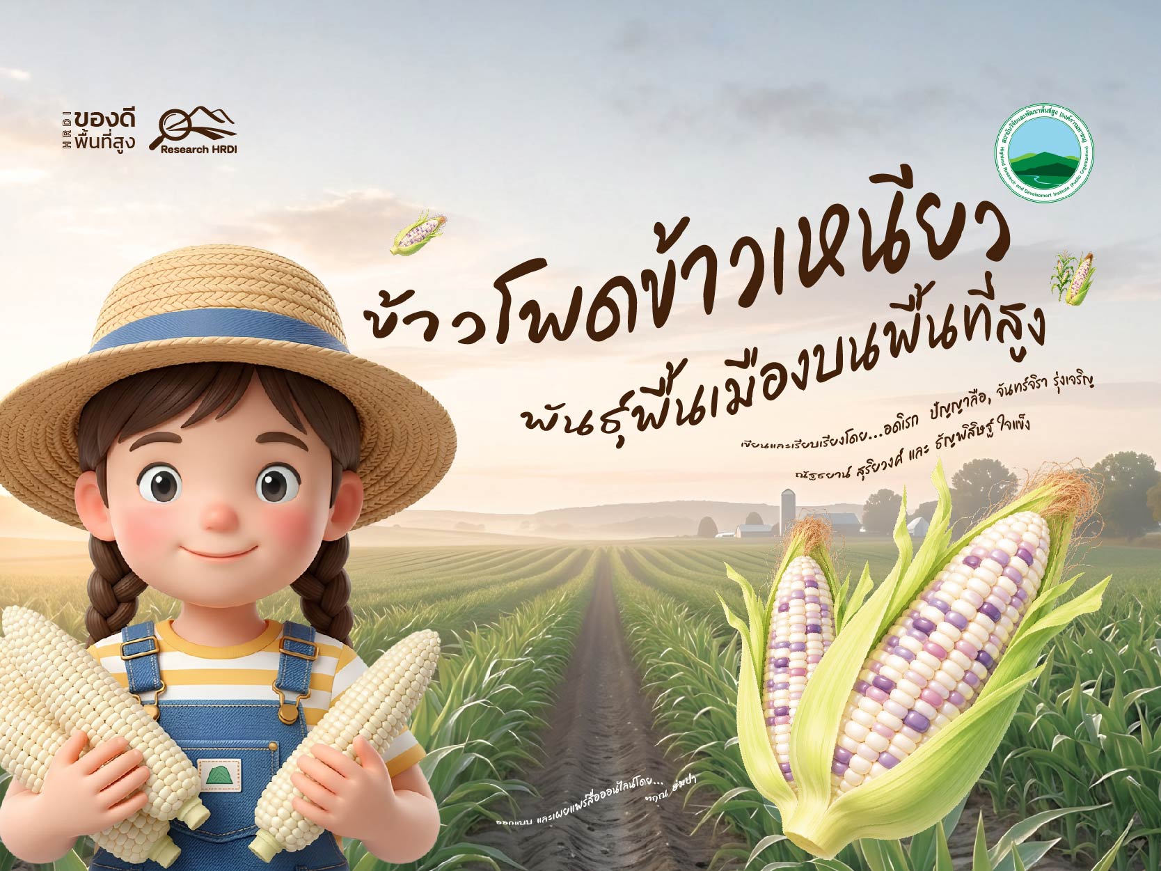 ข้าวโพดข้าวเหนียวพันธุ์พื้นเมืองบนพื้นที่สูง