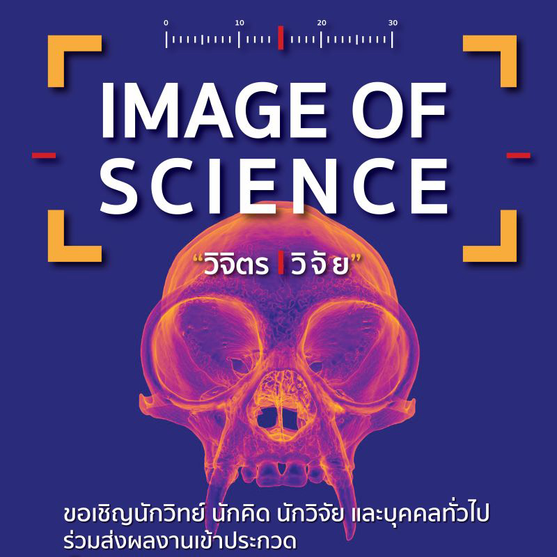 การประกวดภาพวิทย์ฯ