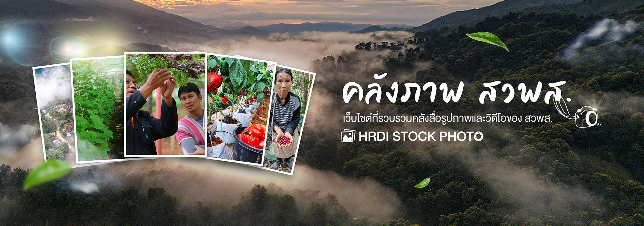 คลังภาพ สวพส.