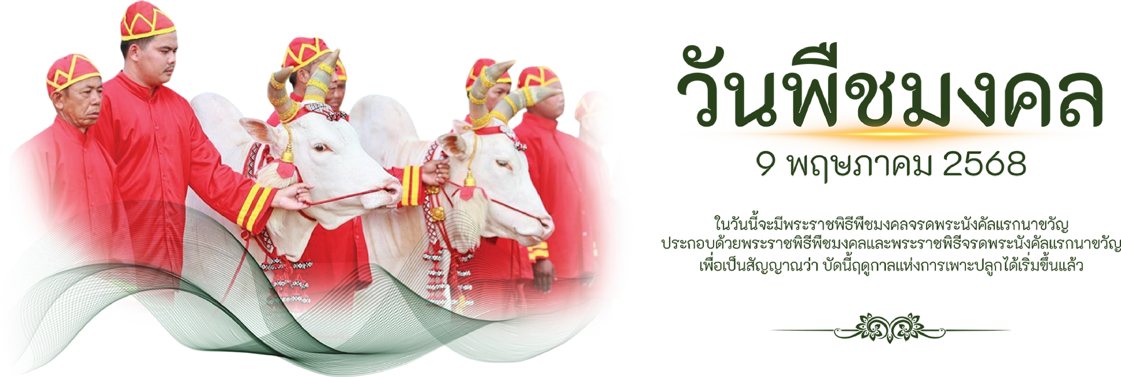 พระราชพิธีพืชมงคลจรดพระนังคัลแรกนาขวัญ ๙ พฤษภาคม ๒๕๖๘ วันพืชมงคล - สวพส.